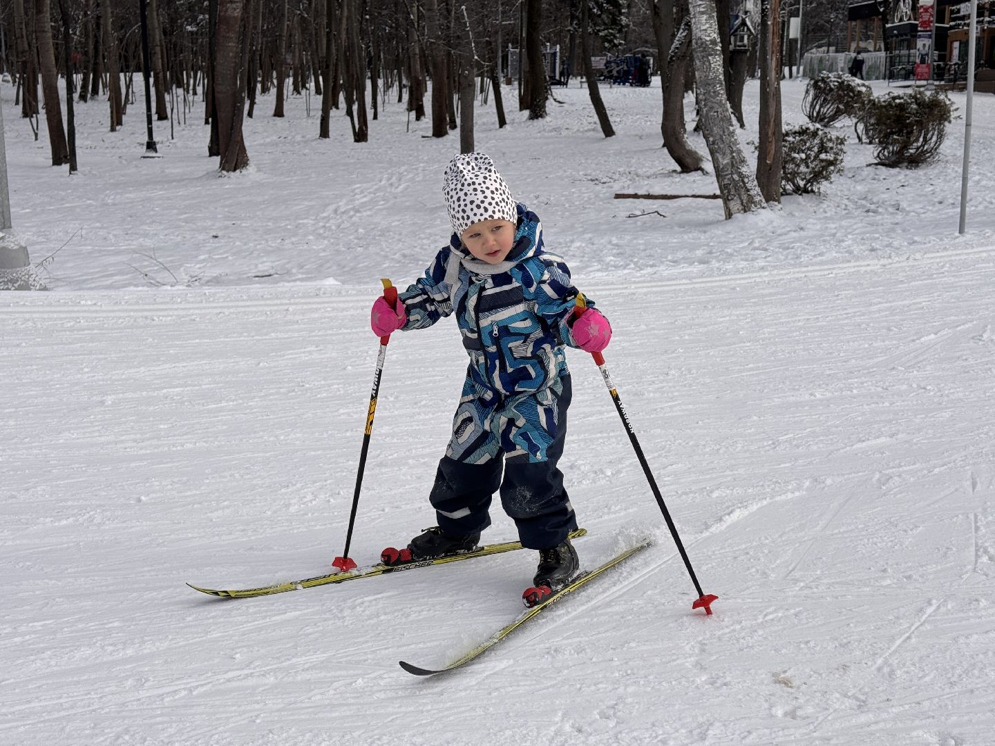 одинцовский парк культуры спорта и отдыха, Пушки оснежения, Лыжники Одинцова, вертикалки,