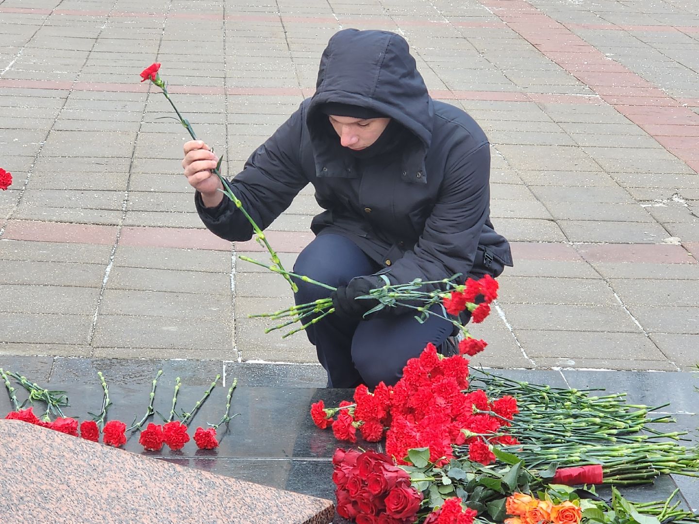королёв, цветы, память, отечество, защитники, родина,