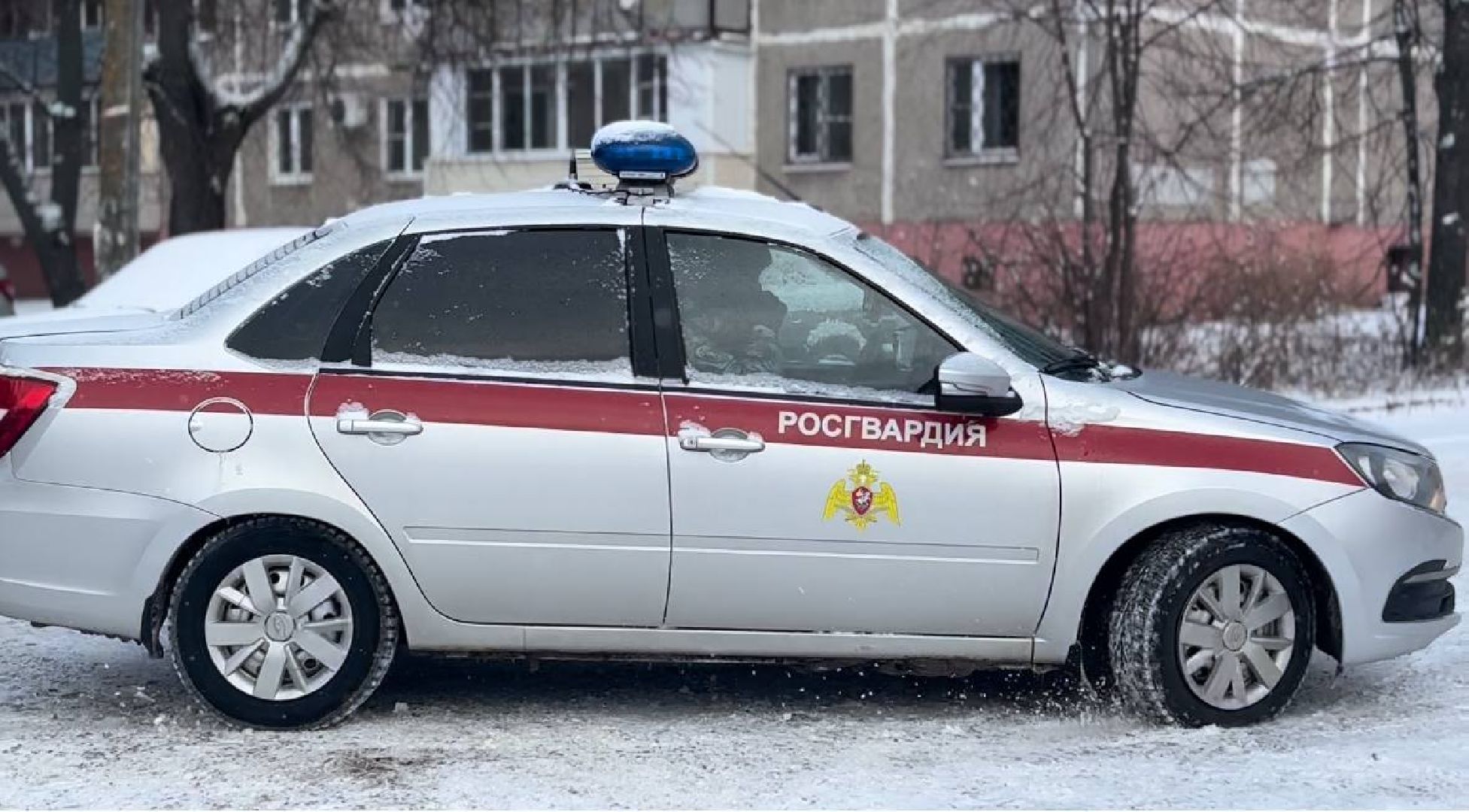 воскресенск, люди, росгвардия,