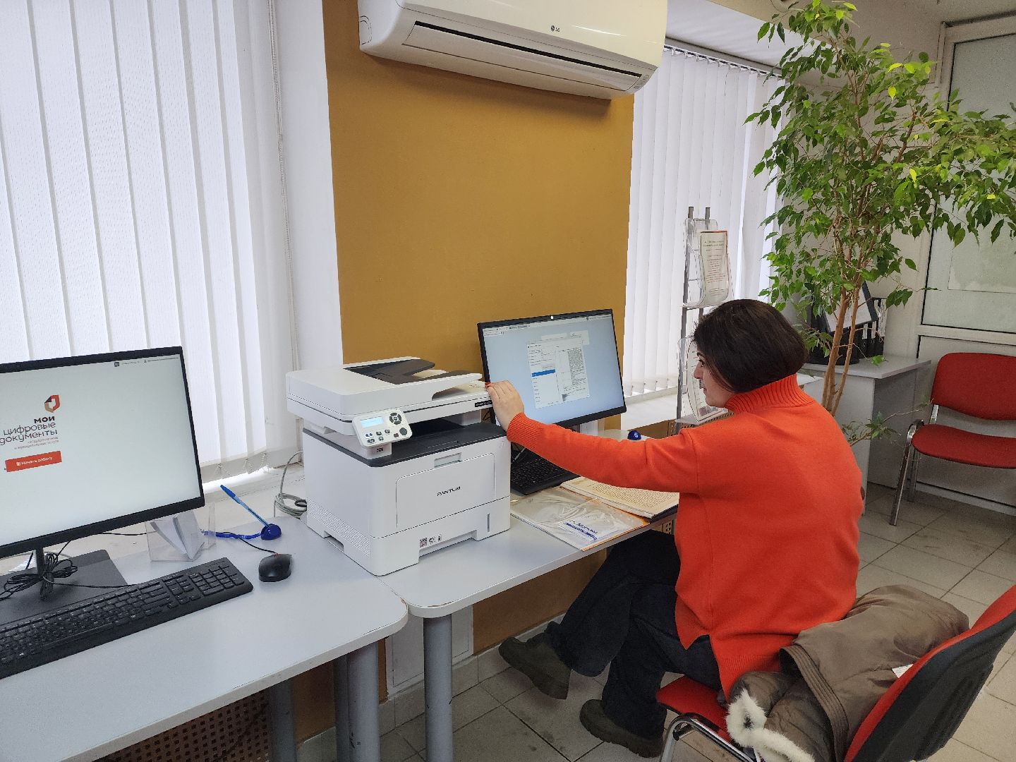 красноармейск, городской округ пушкинский, выплаты, юбиляры семейной жизни, мфц, вертикалки,