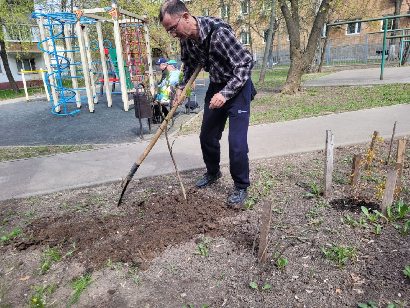 озеленение, депутат, помощь, экология, Видное, деревья