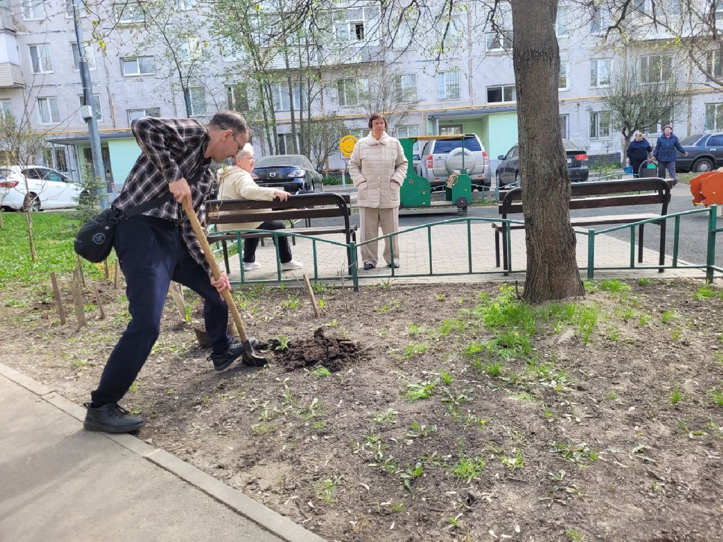 озеленение, депутат, помощь, экология, Видное, деревья