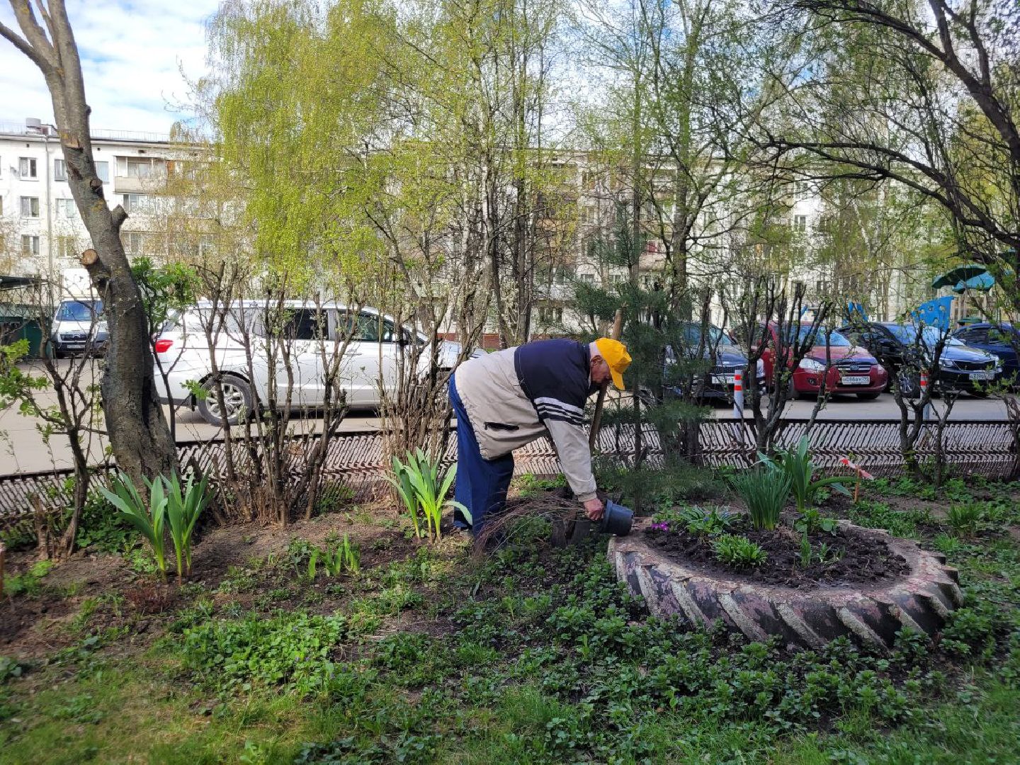 озеленение, депутат, помощь, экология, Видное, деревья