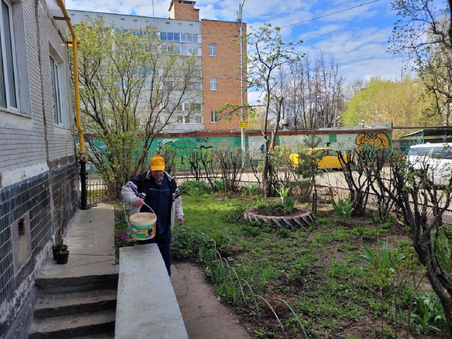 озеленение, депутат, помощь, экология, Видное, деревья