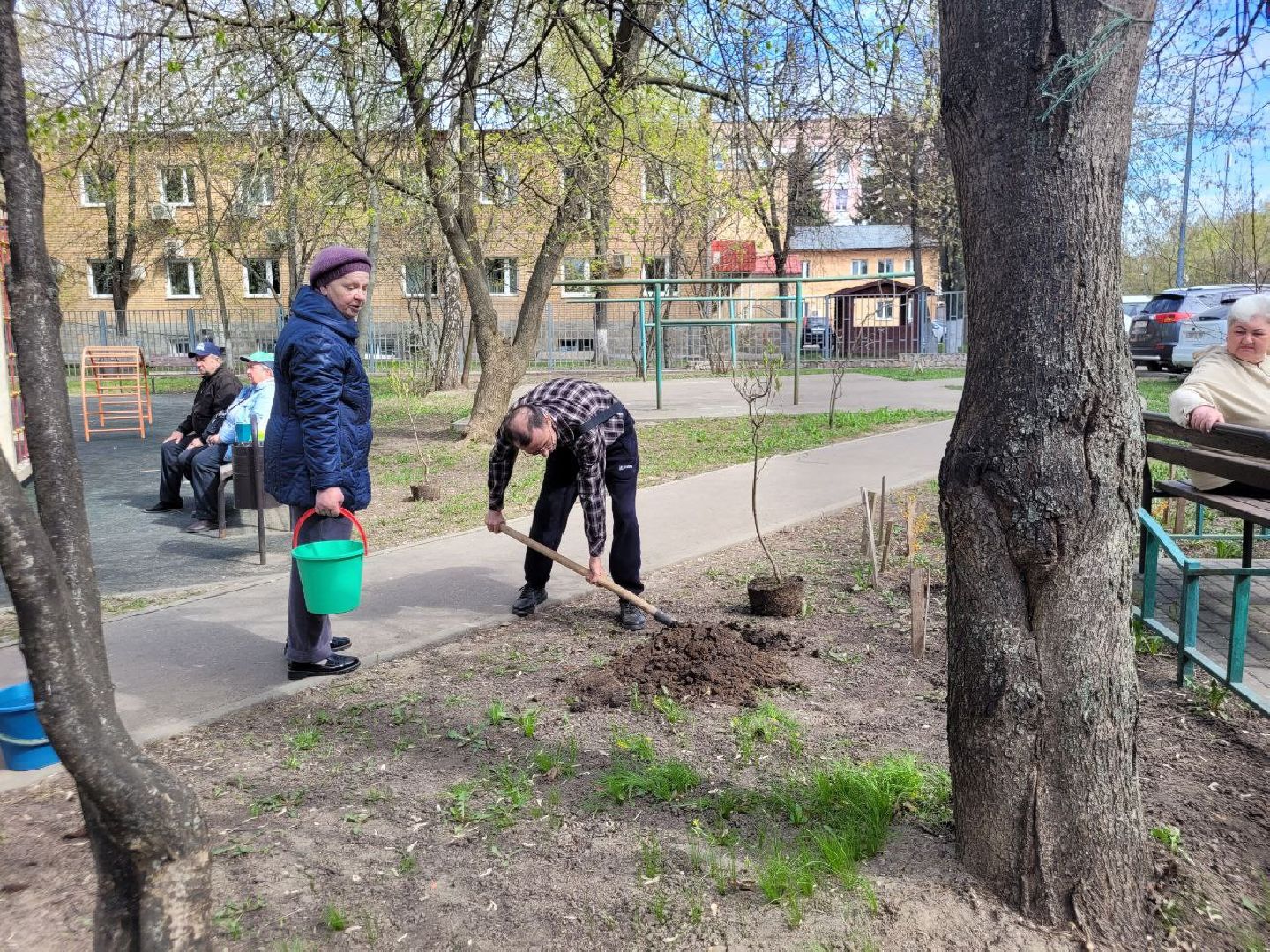 озеленение, депутат, помощь, экология, Видное, деревья