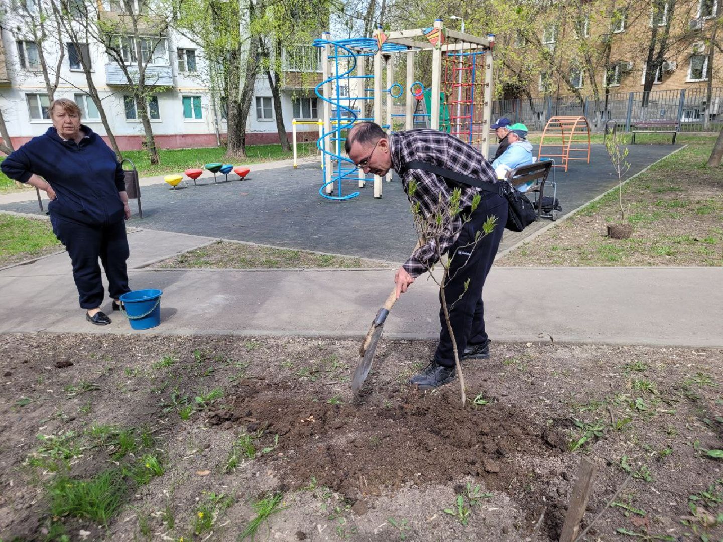 озеленение, депутат, помощь, экология, Видное, деревья