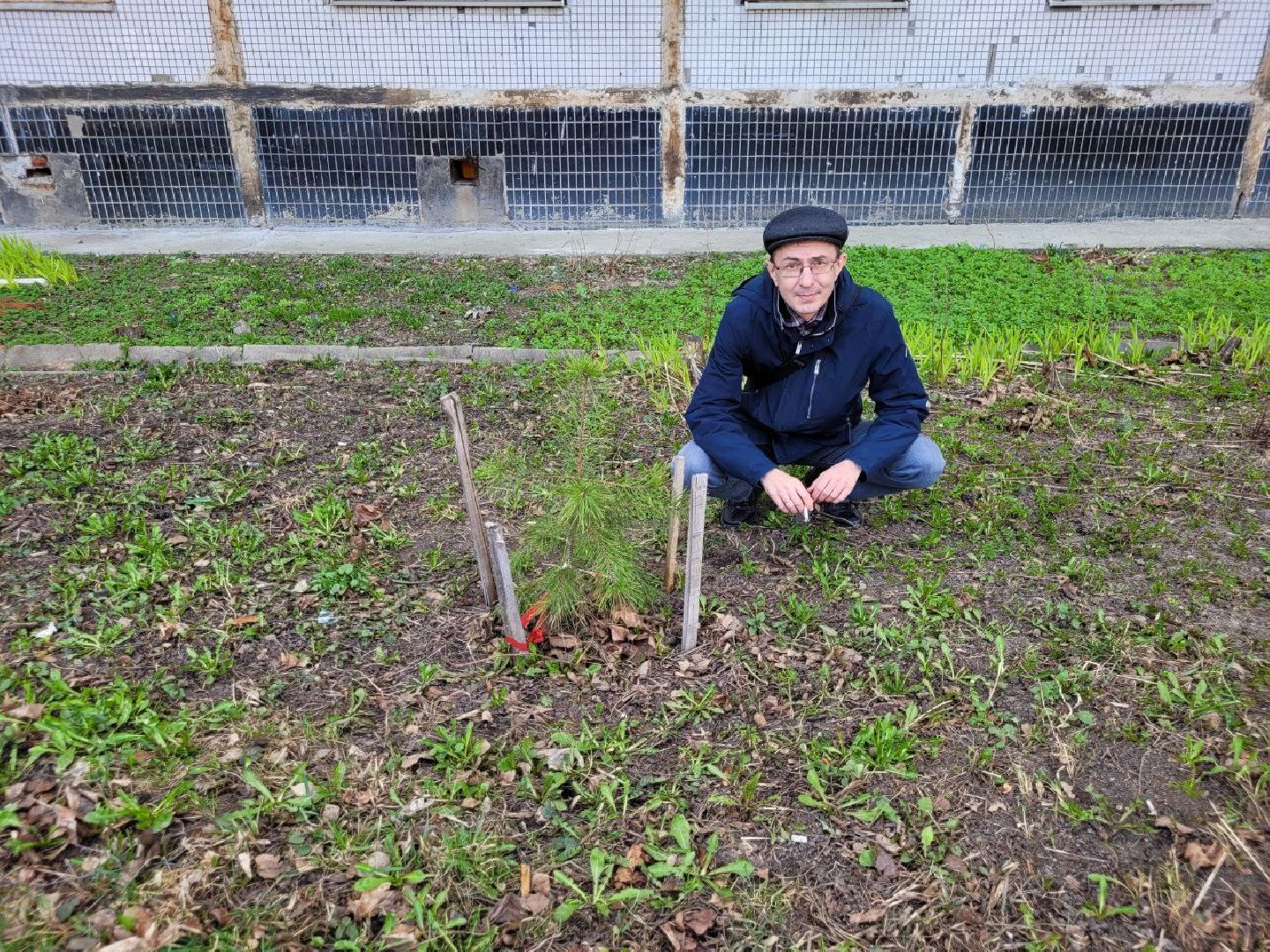 озеленение, депутат, помощь, экология, Видное, деревья