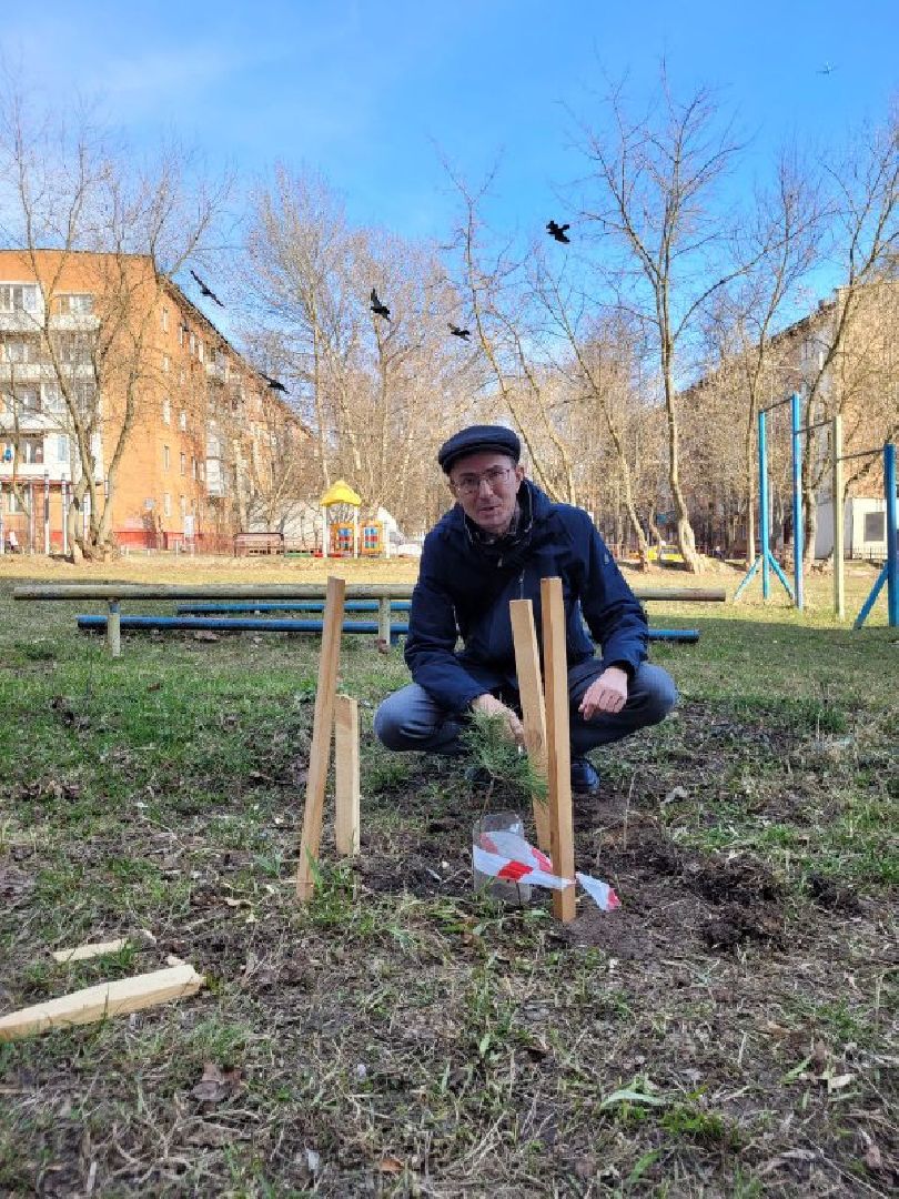 озеленение, депутат, помощь, экология, Видное, деревья