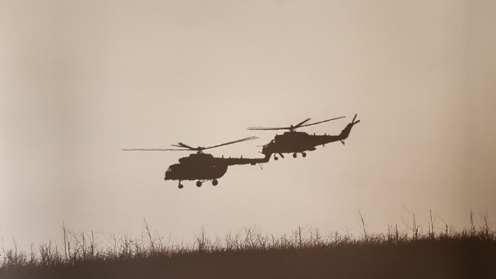 кашира, краеведческий музей, фотовыставка, сво, день защитника отечества, вертикалки,