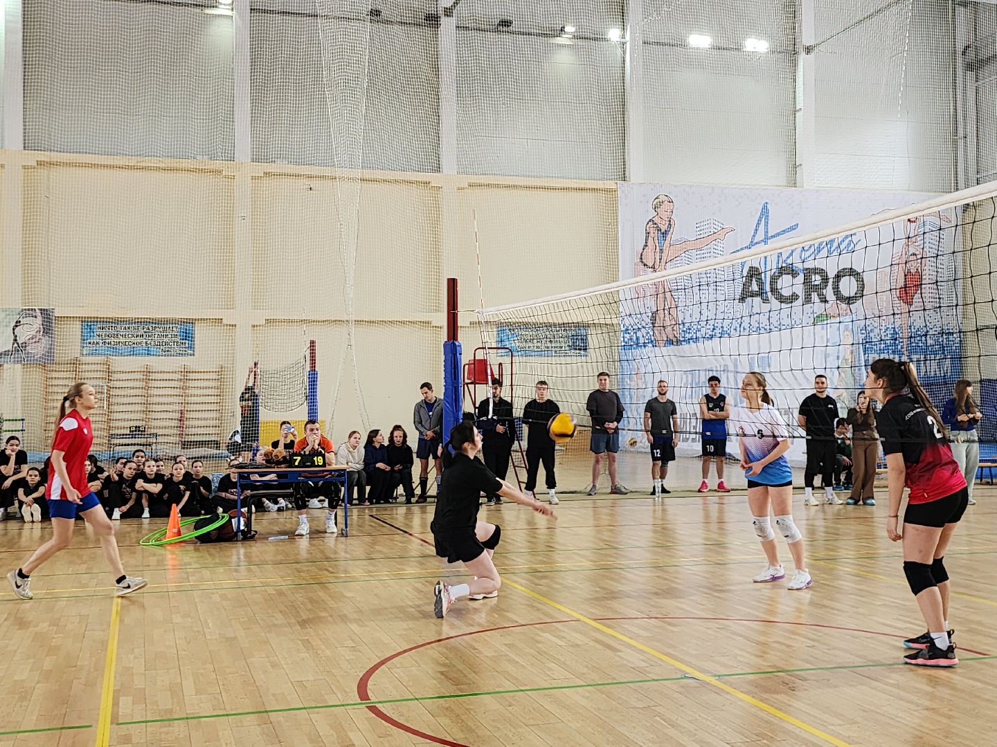 Волейбол, баскетбол, Истра, Спорт,