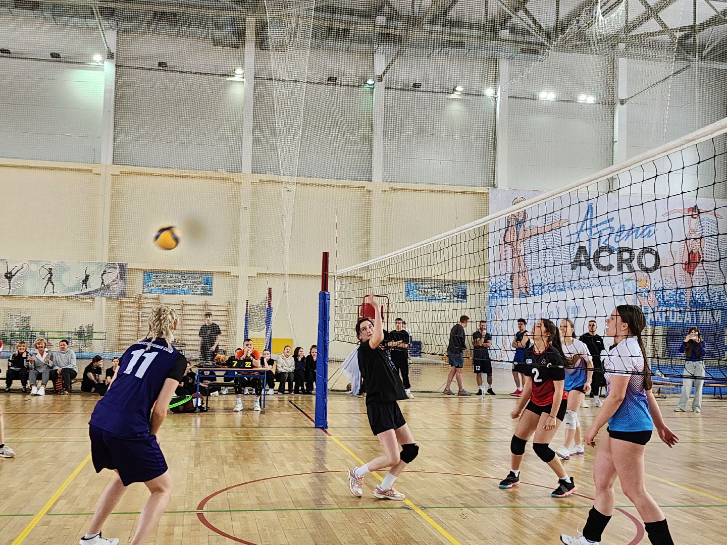 Волейбол, баскетбол, Истра, Спорт,