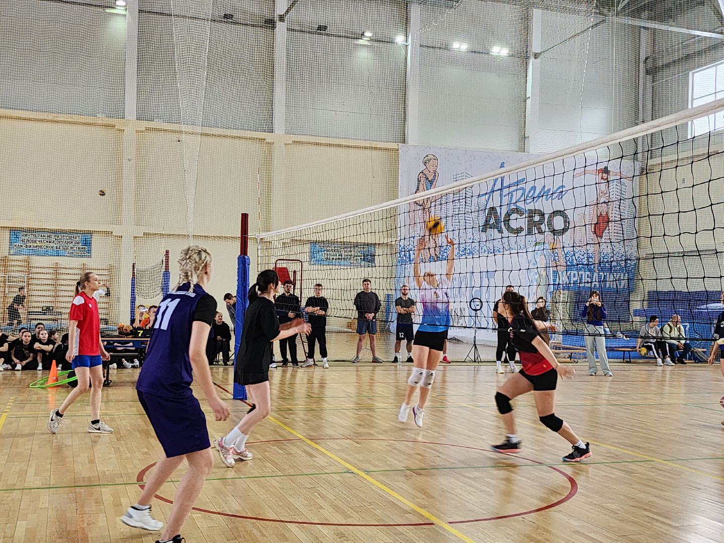 Волейбол, баскетбол, Истра, Спорт,