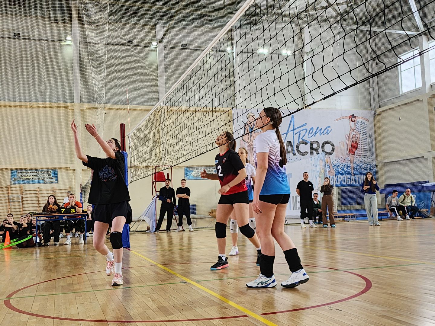 Волейбол, баскетбол, Истра, Спорт,