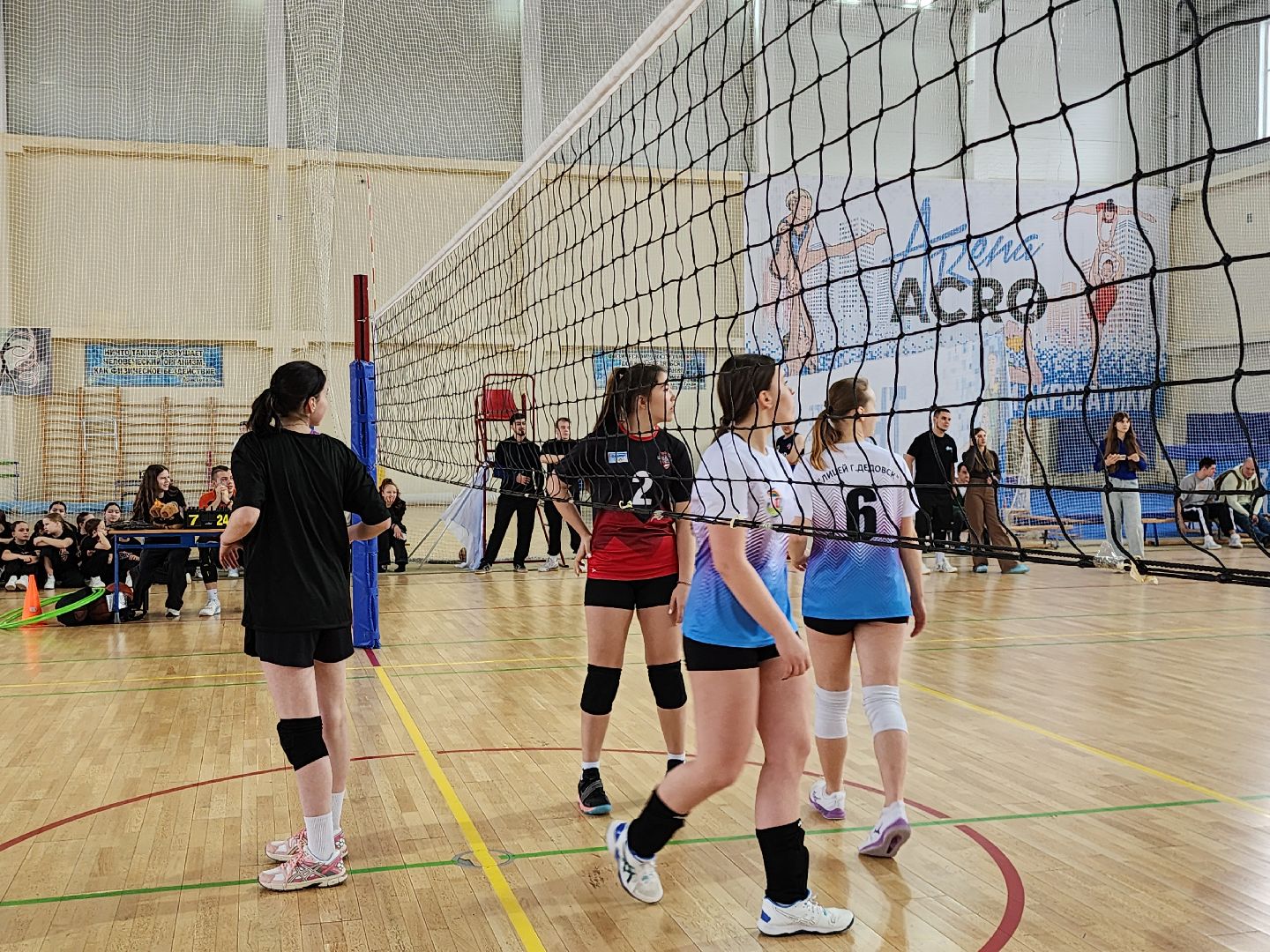 Волейбол, баскетбол, Истра, Спорт,