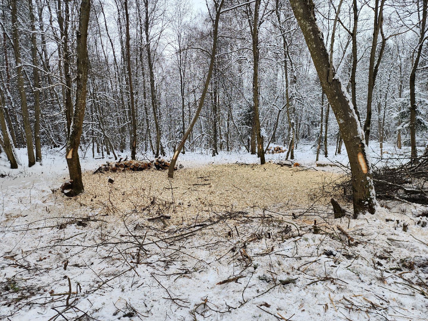 Парк, Благоустройство, Истра, вертикалка,