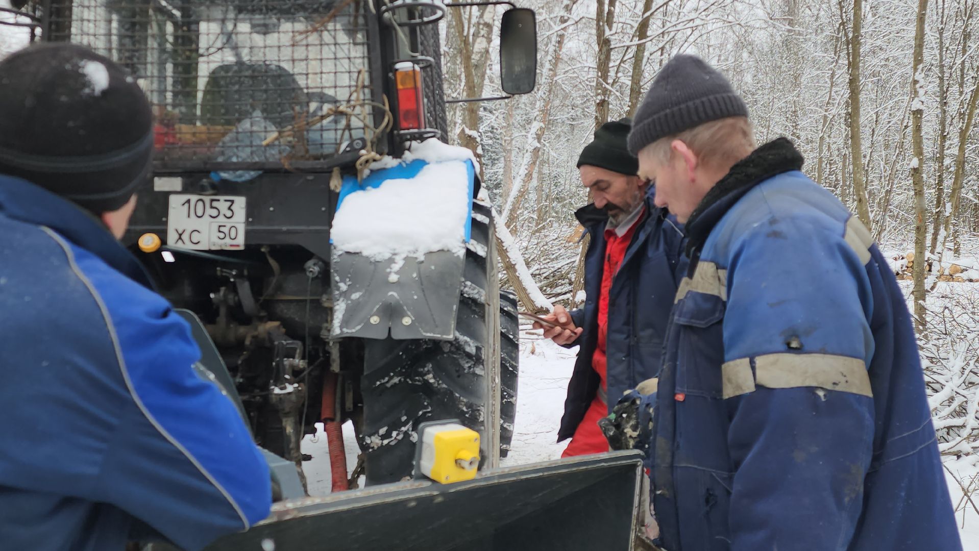 Парк, Благоустройство, Истра, вертикалка,