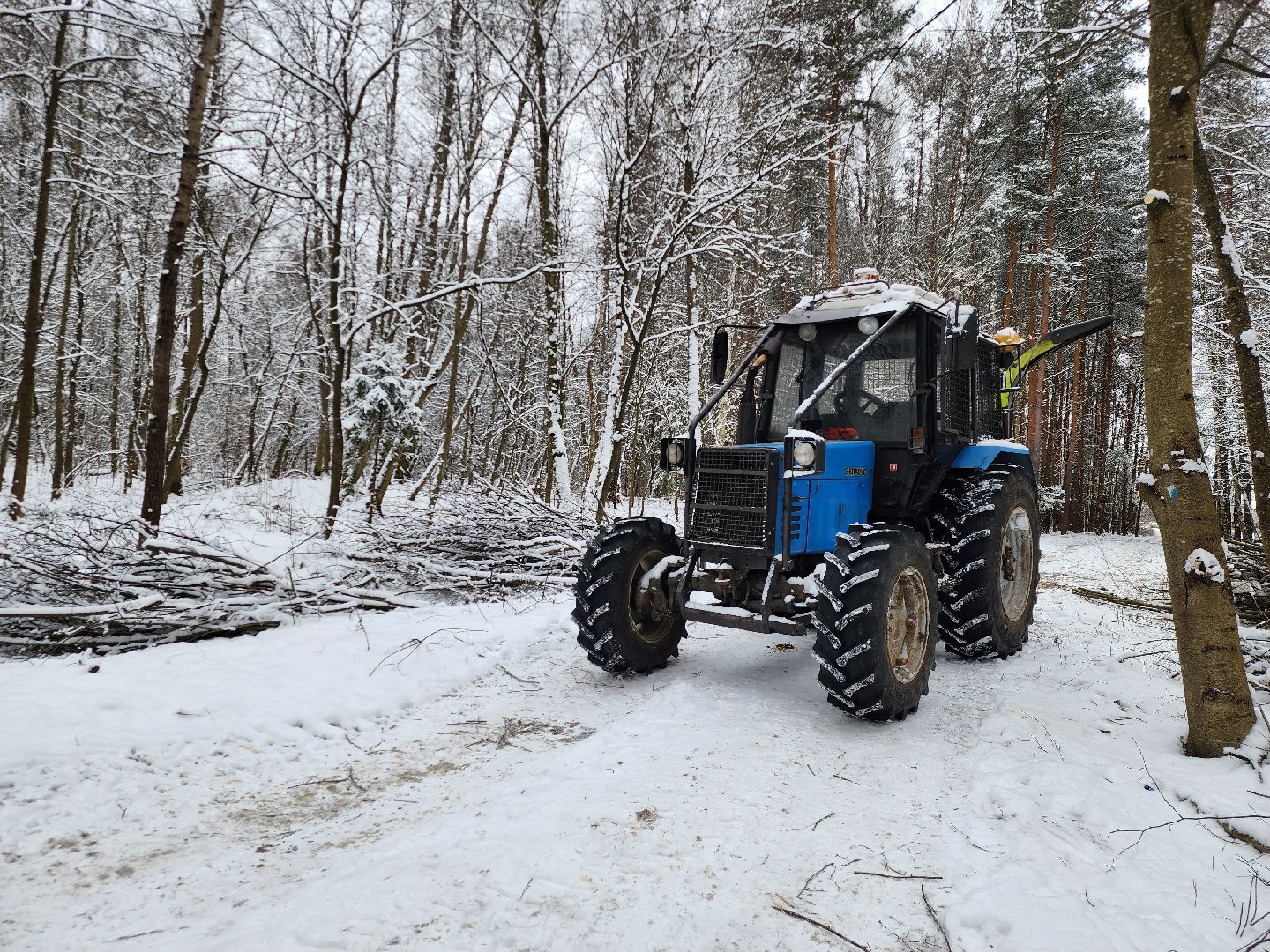 Парк, Благоустройство, Истра, вертикалка,
