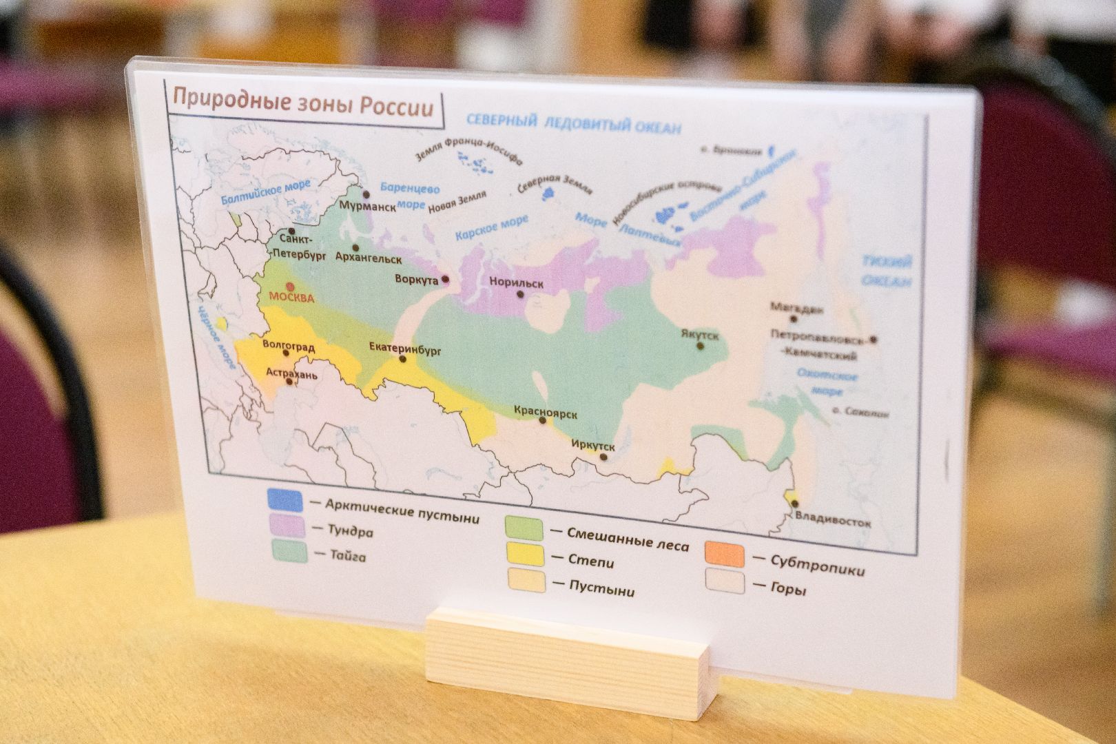 образование, лыткарино, Путешествие по природным зонам России, эко игра, вертикалки,