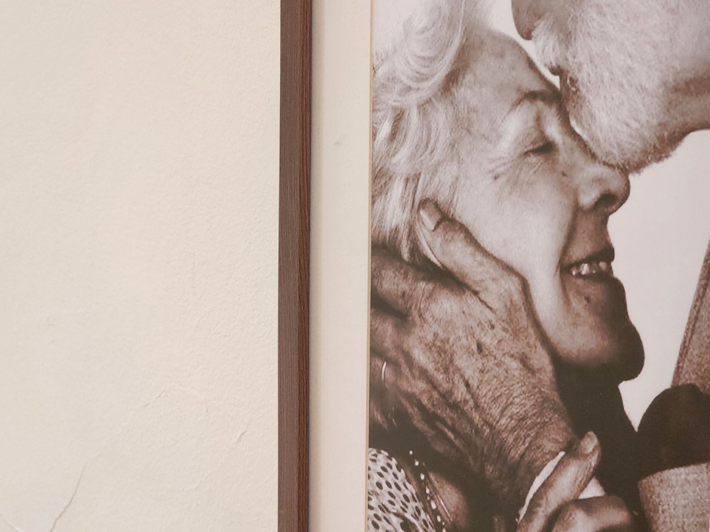 Сотрудничество, Медицина, Врачи, Запорожье,