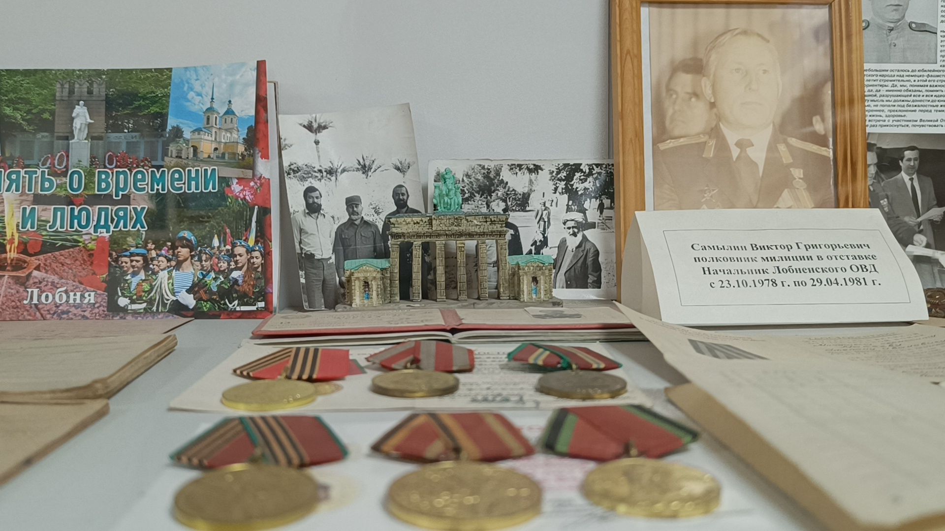 кража, полиция, лобня, вертикалки,