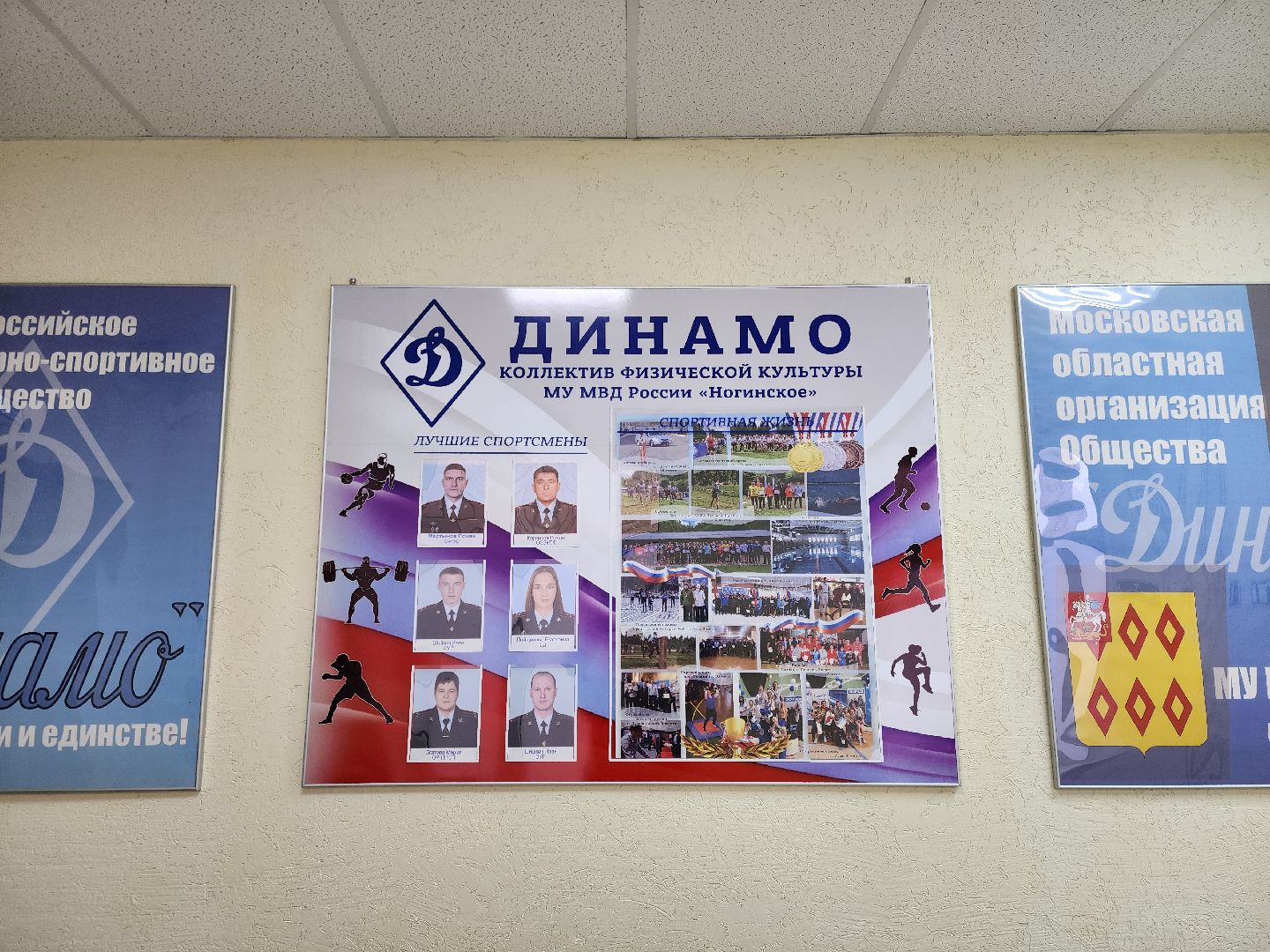 ногинск, полиция, мвд, герой, общество, вертикалки,