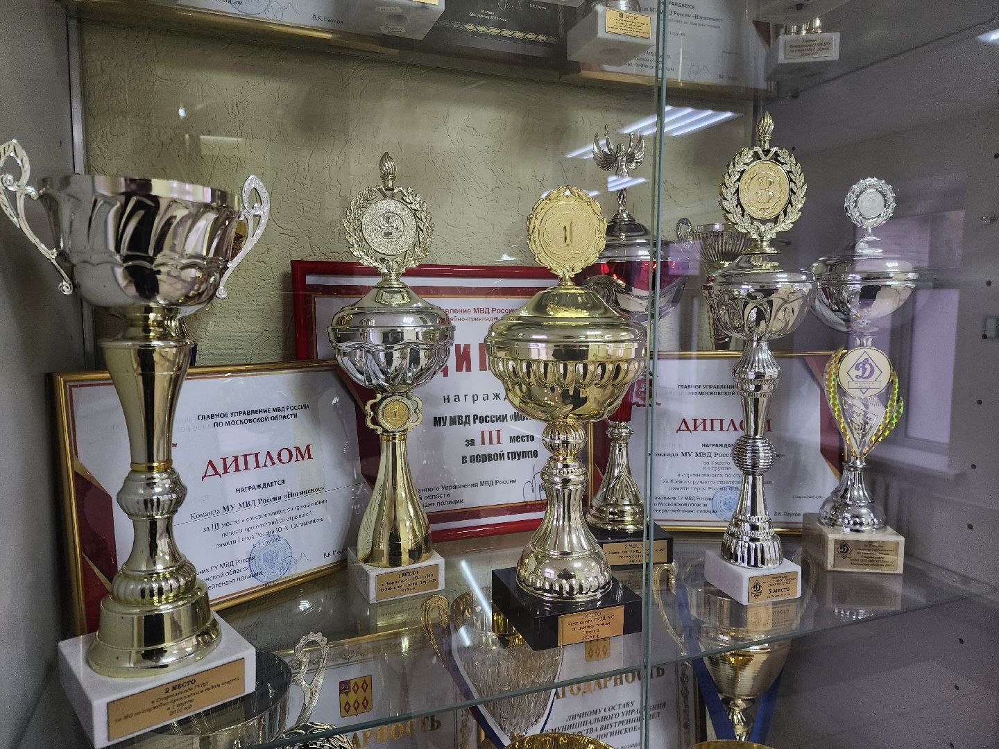 ногинск, полиция, мвд, герой, общество, вертикалки,