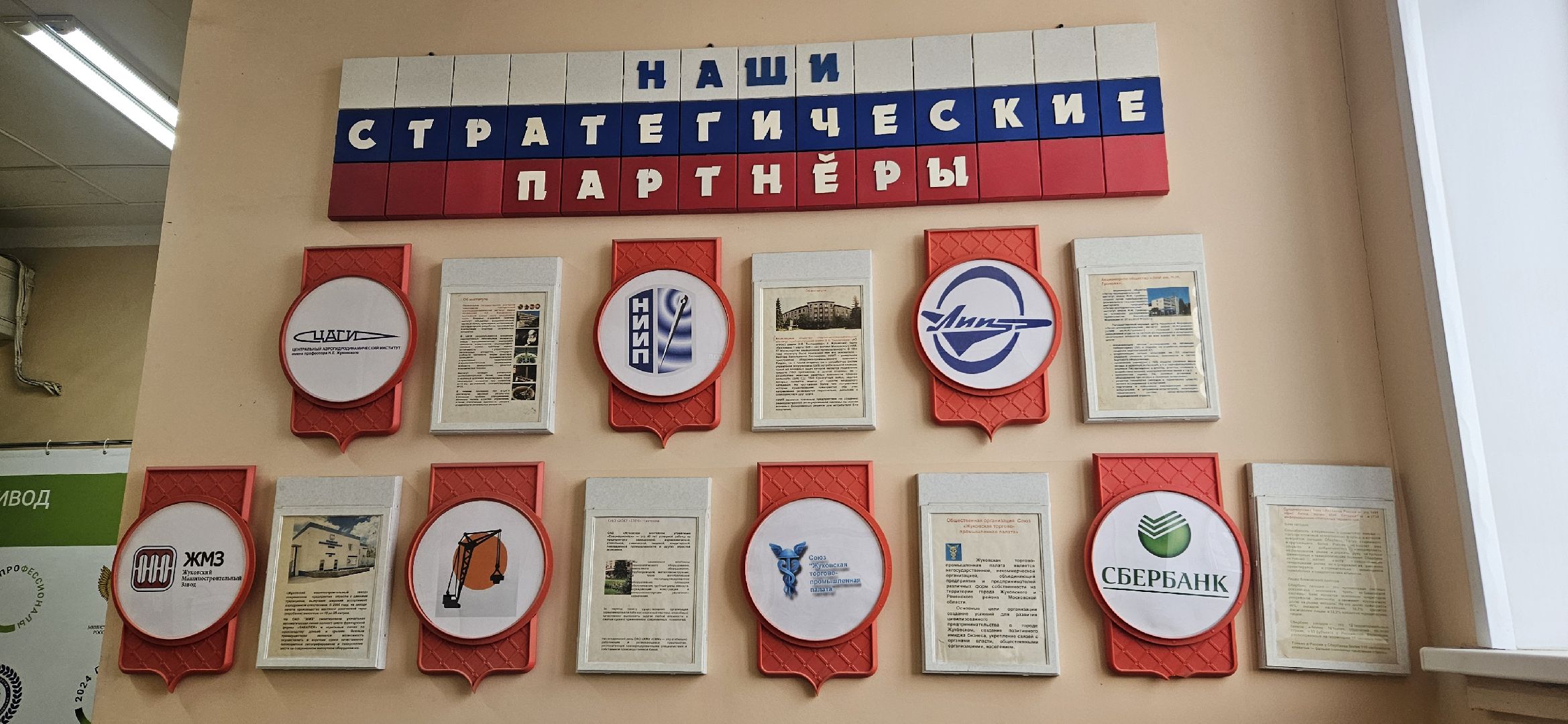 профессионалы, чемпионат, жуковский,