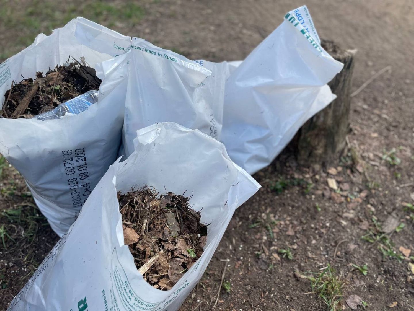 Сергиев Посад, Сергиево-Посадский городской округ, Благоустройство, Субботник, Уборка, Весна