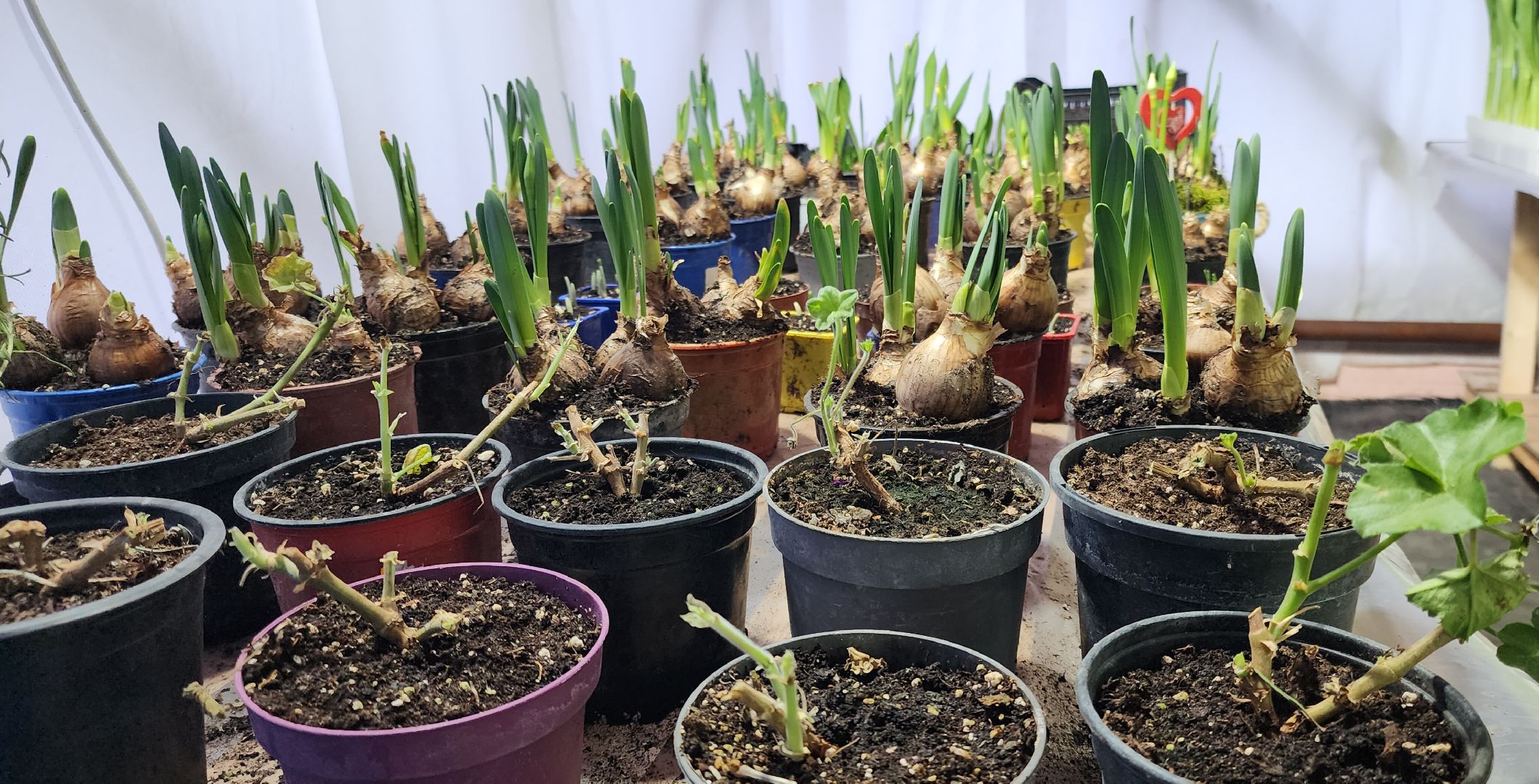 вертикалки, экономика, Общество, люди,