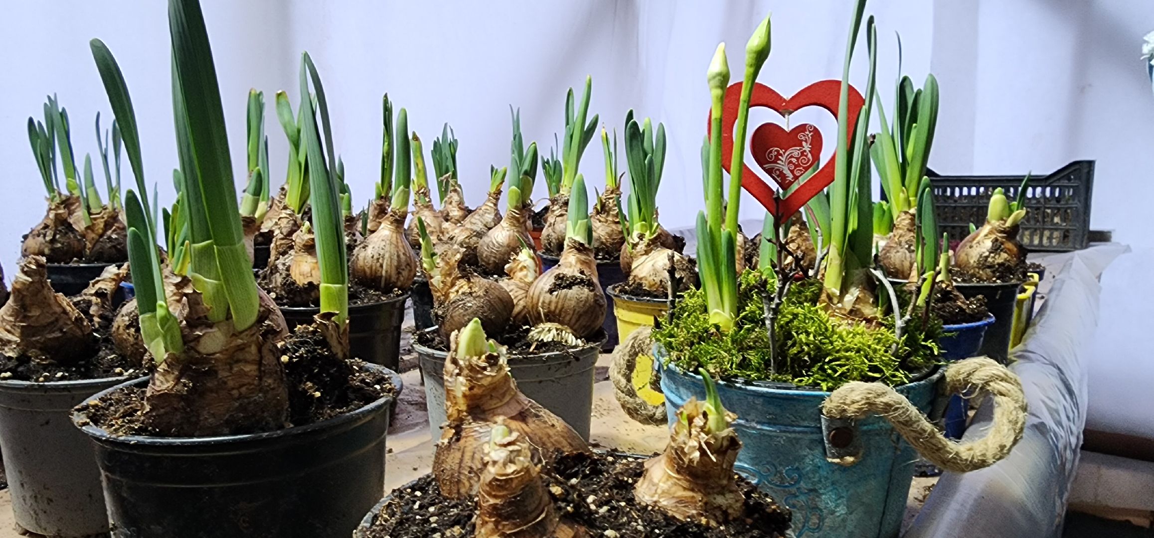 вертикалки, экономика, Общество, люди,