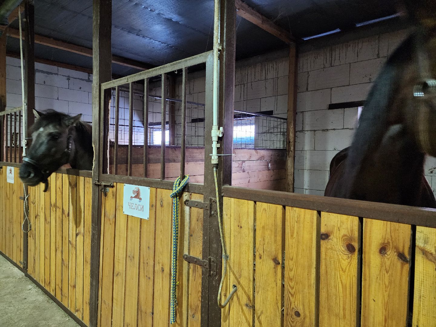 Зарайск, туризм, конный клуб,