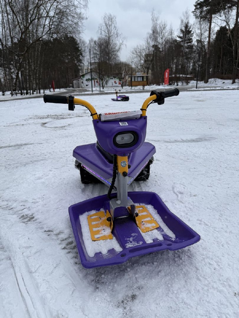 экоход, кашалот, снегокат, парк пехорка, шеринг, технологии, развлечения, прокат,