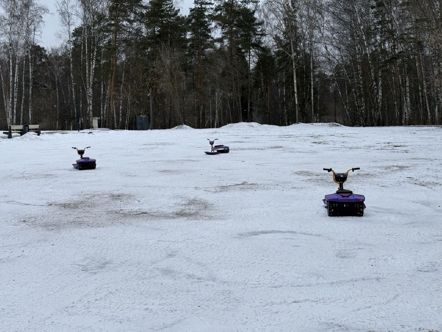 экоход, кашалот, снегокат, парк пехорка, шеринг, технологии, развлечения, прокат,