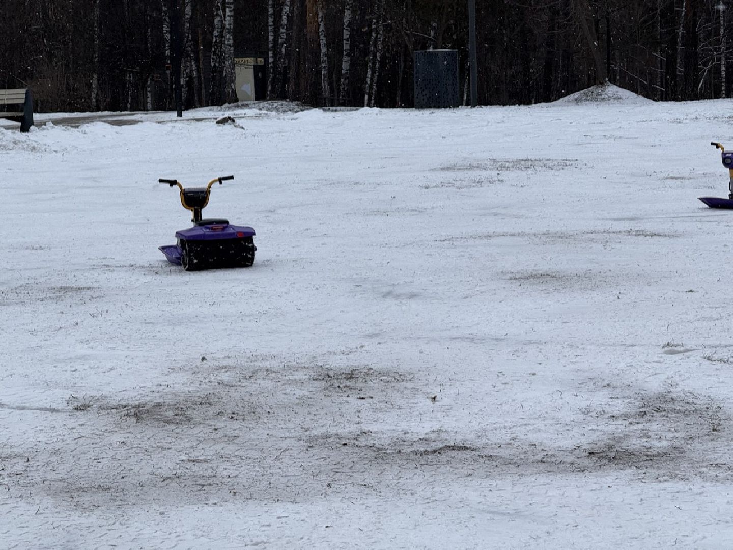 экоход, кашалот, снегокат, парк пехорка, шеринг, технологии, развлечения, прокат,