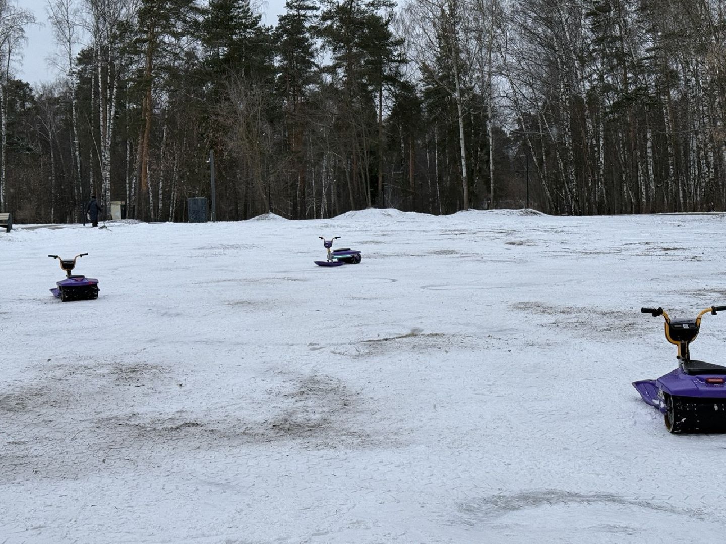экоход, кашалот, снегокат, парк пехорка, шеринг, технологии, развлечения, прокат,