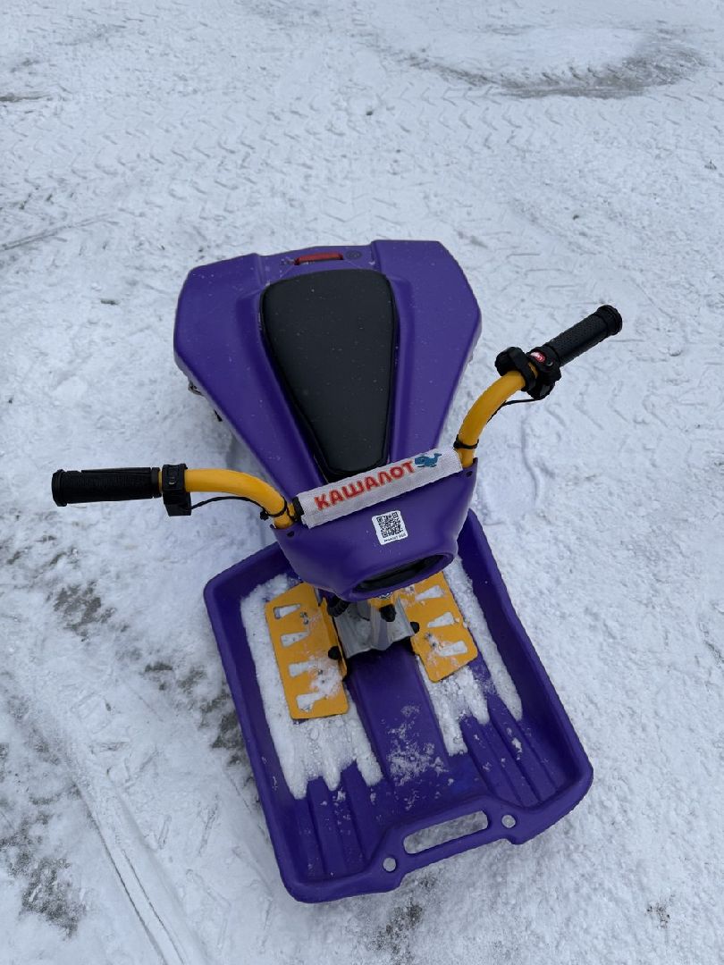 экоход, кашалот, снегокат, парк пехорка, шеринг, технологии, развлечения, прокат,