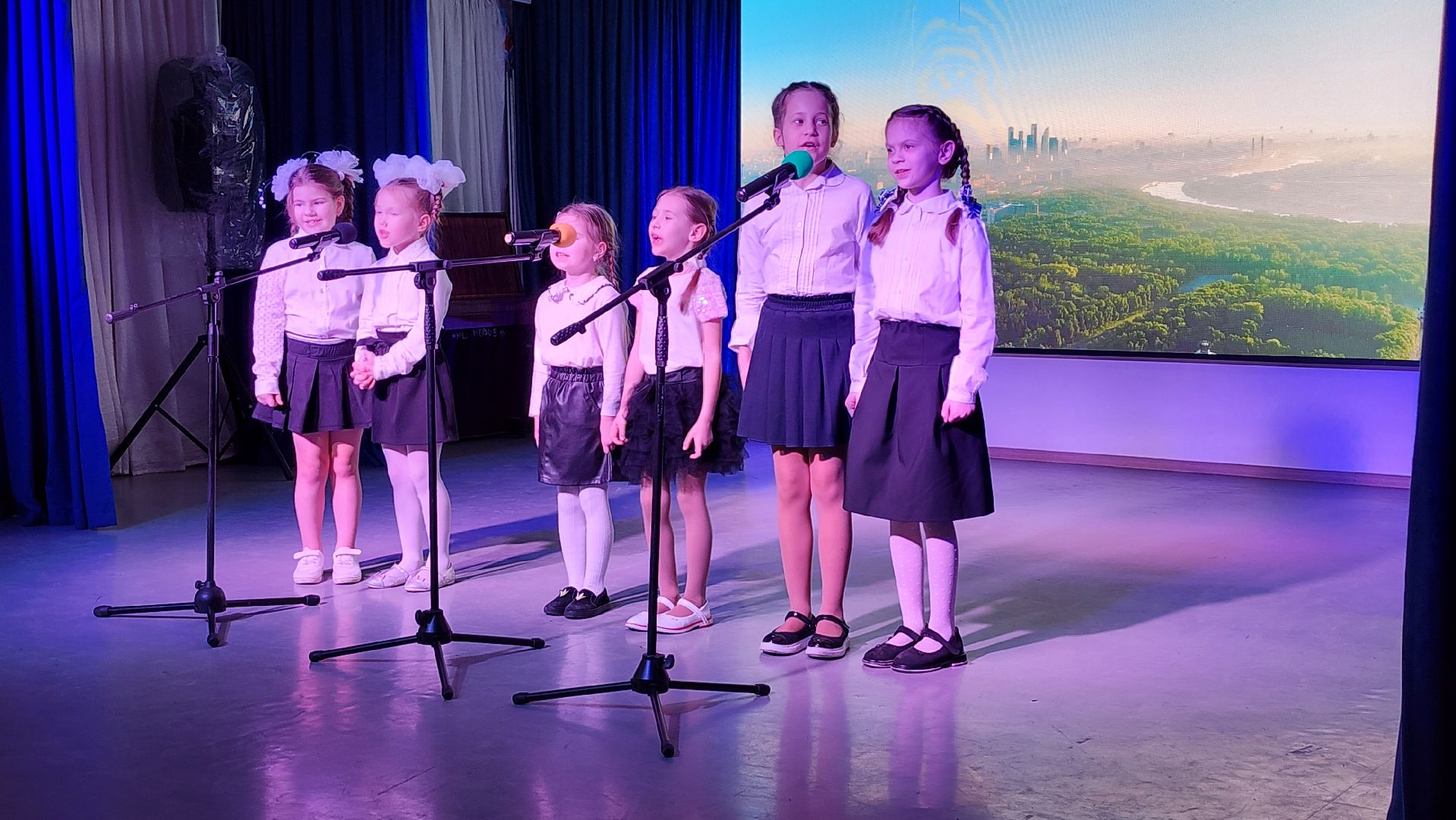 День защитника Отечества, 23 февраля, центр культуры, Ногинск, Богородский городской округ, вертикалки,