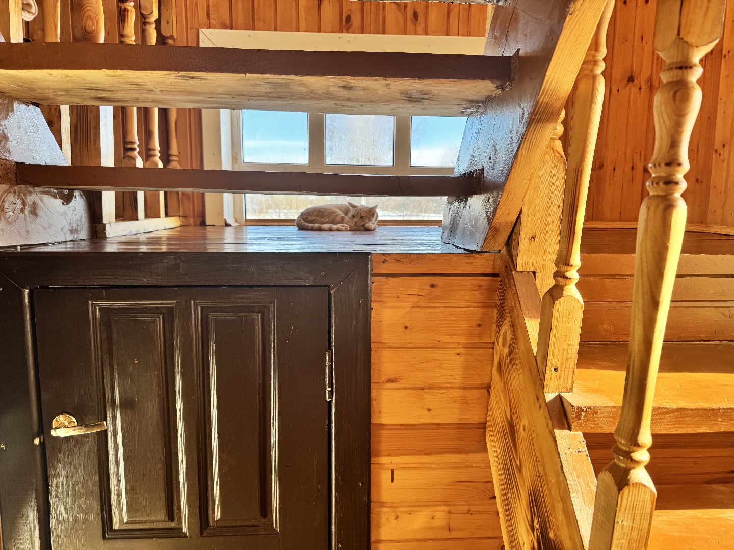 шаховская, молодая мама, жилищный сертификат,