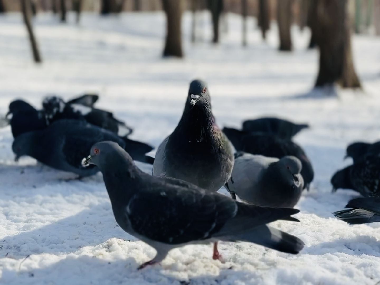 раменское, анапа, волонтер,волонтеры подмосковья,
