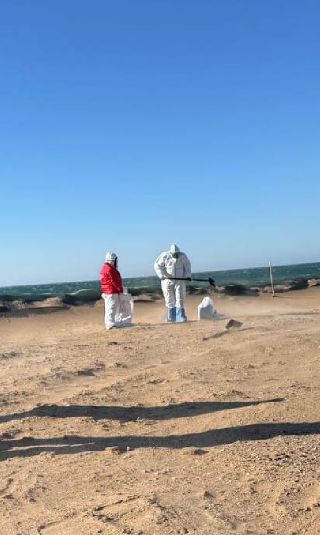 раменское, анапа, волонтер,волонтеры подмосковья,