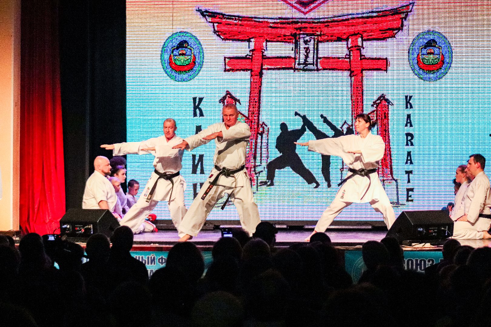 Клин, общество, культура, день защитника отечества, СВО, вертикалки,