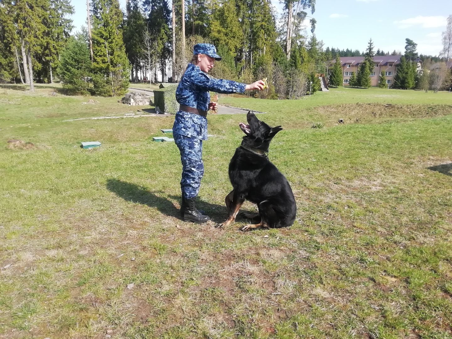 Чемпионат, Федеральная служба исполнения наказаний, кинологи, соревнвания, Ястребки