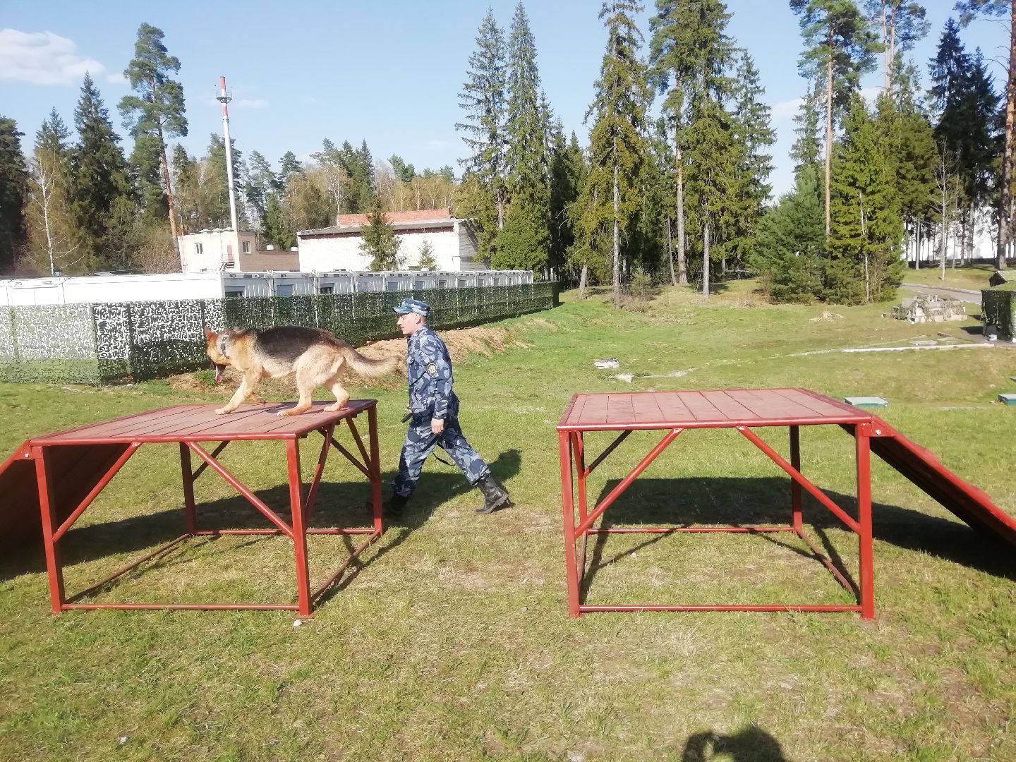 Чемпионат, Федеральная служба исполнения наказаний, кинологи, соревнвания, Ястребки