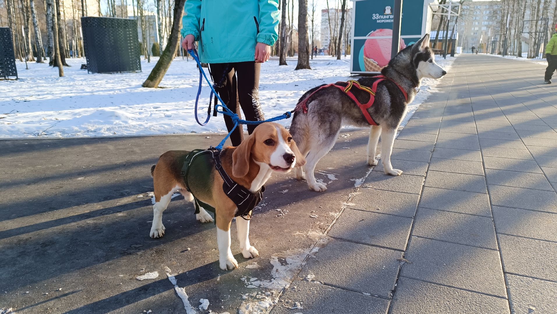 спорт, лобня, 5 верст, бег,парк, вертикалки