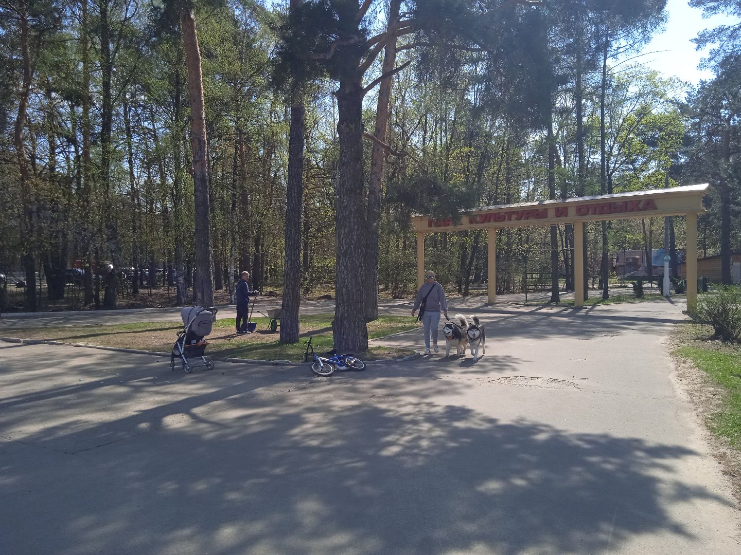 акарицидная, обработка, парк, сквер, клещи, Жуковский