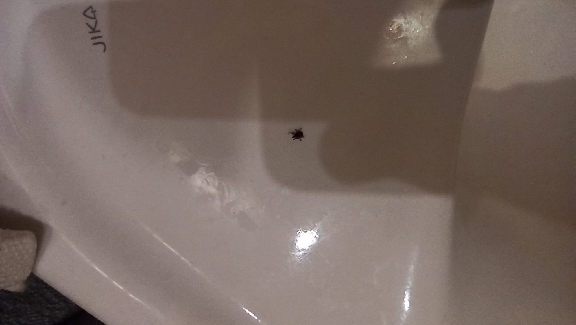 акарицидная, обработка, парк, сквер, клещи, Жуковский