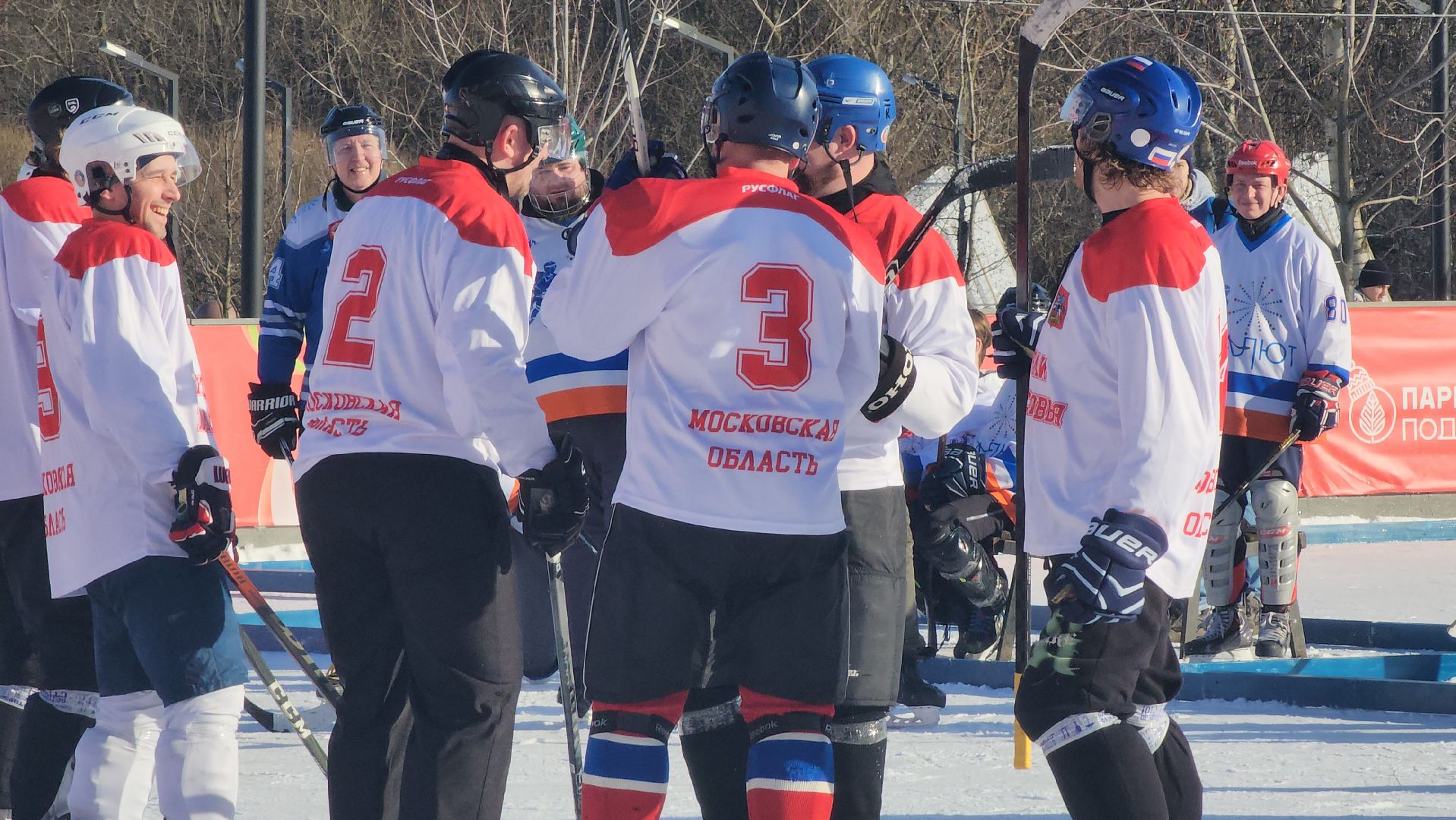 долгопрудный, понд-хоккей, 23 февраля, путилково, красногорск, мфти, шайба, хоккеисты, вертикалки,