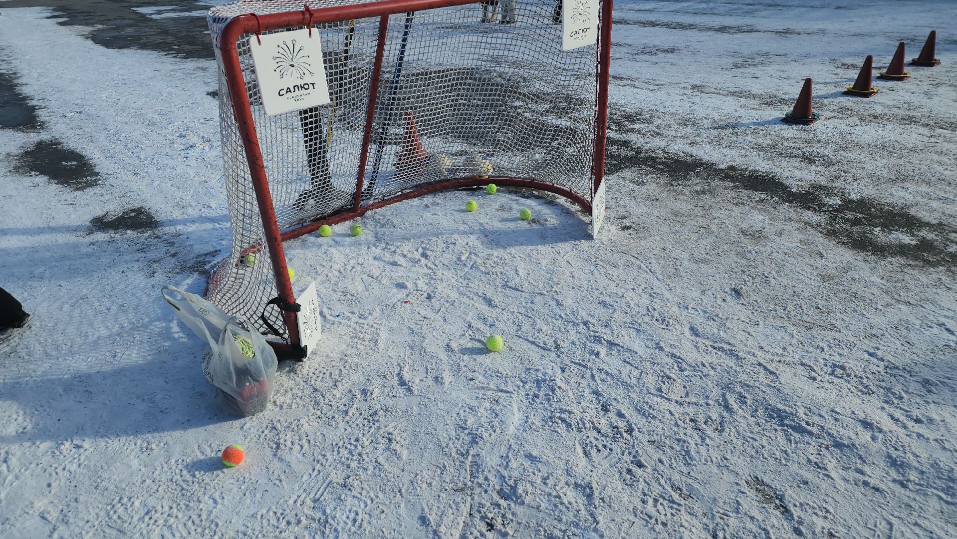 долгопрудный, понд-хоккей, 23 февраля, путилково, красногорск, мфти, шайба, хоккеисты, вертикалки,