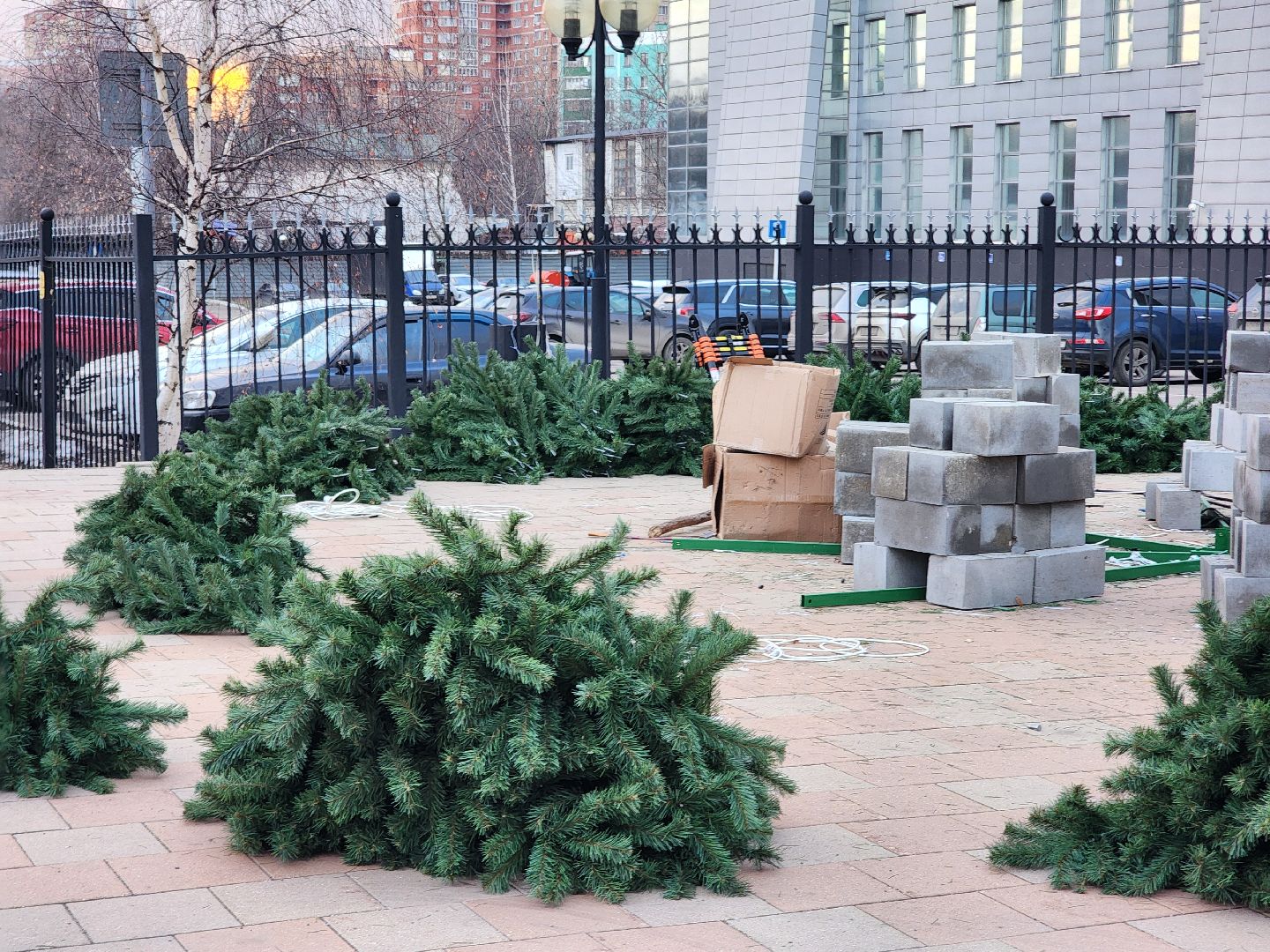 новый год, елки, благоустройство,