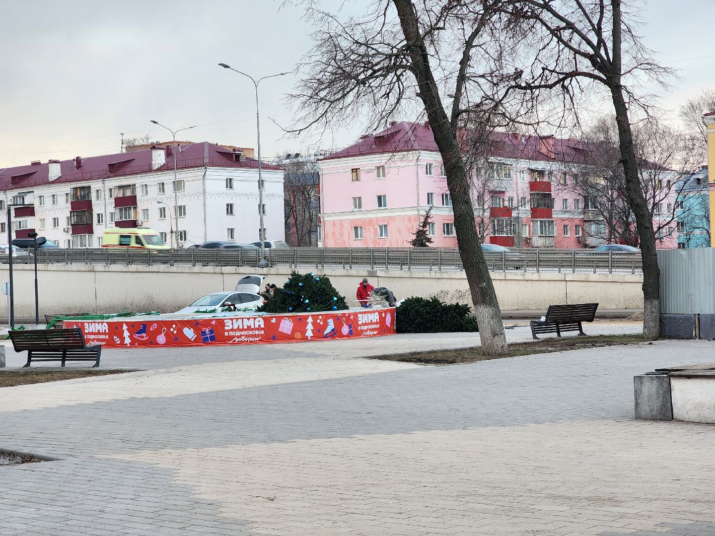 новый год, елки, благоустройство,